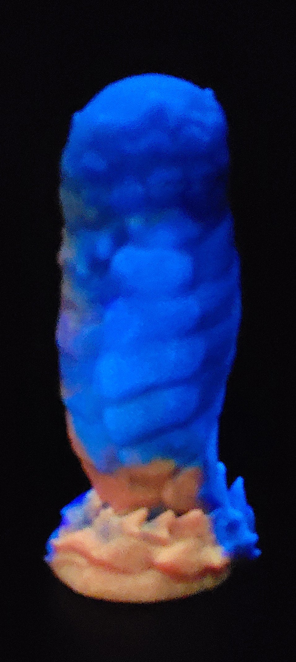 Medium Scolopendra - GITD/UV Soft silicone - SC-443