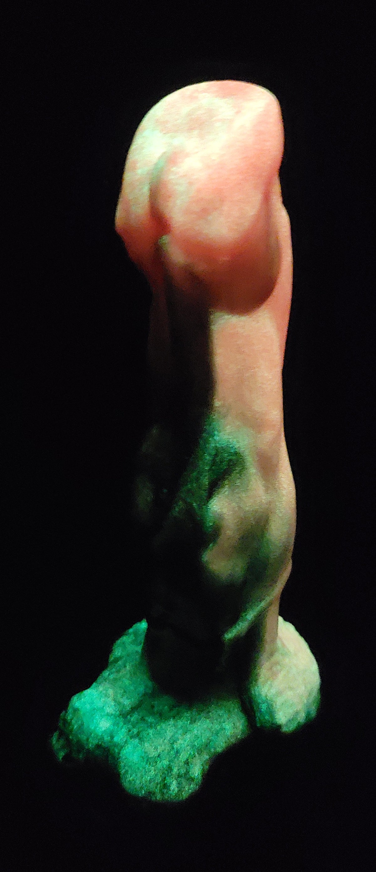 Brawn - UV/GITD Soft silicone - BR-556