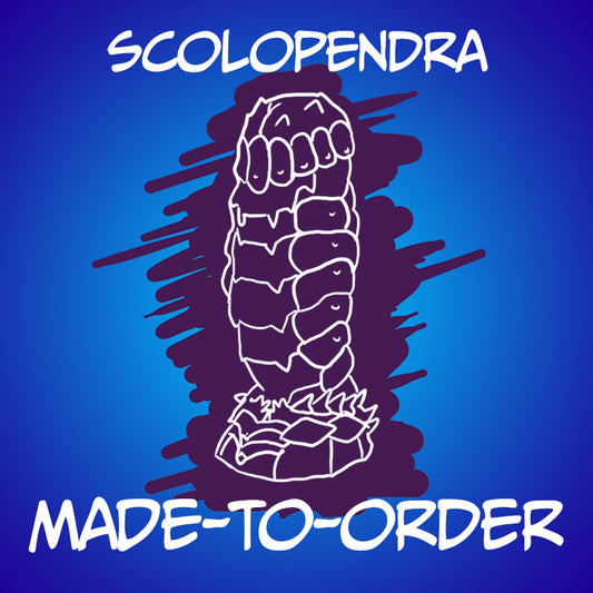 Scolopendra - Made-to-Order