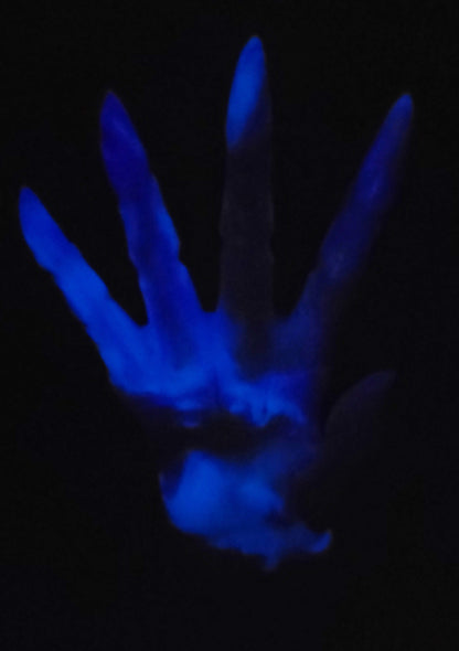 Odonata's Hand - GITD Medium silicone - OH-422
